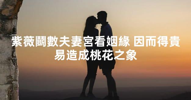 紫薇鬭數夫妻宮看姻緣 因而得貴易造成桃花之象